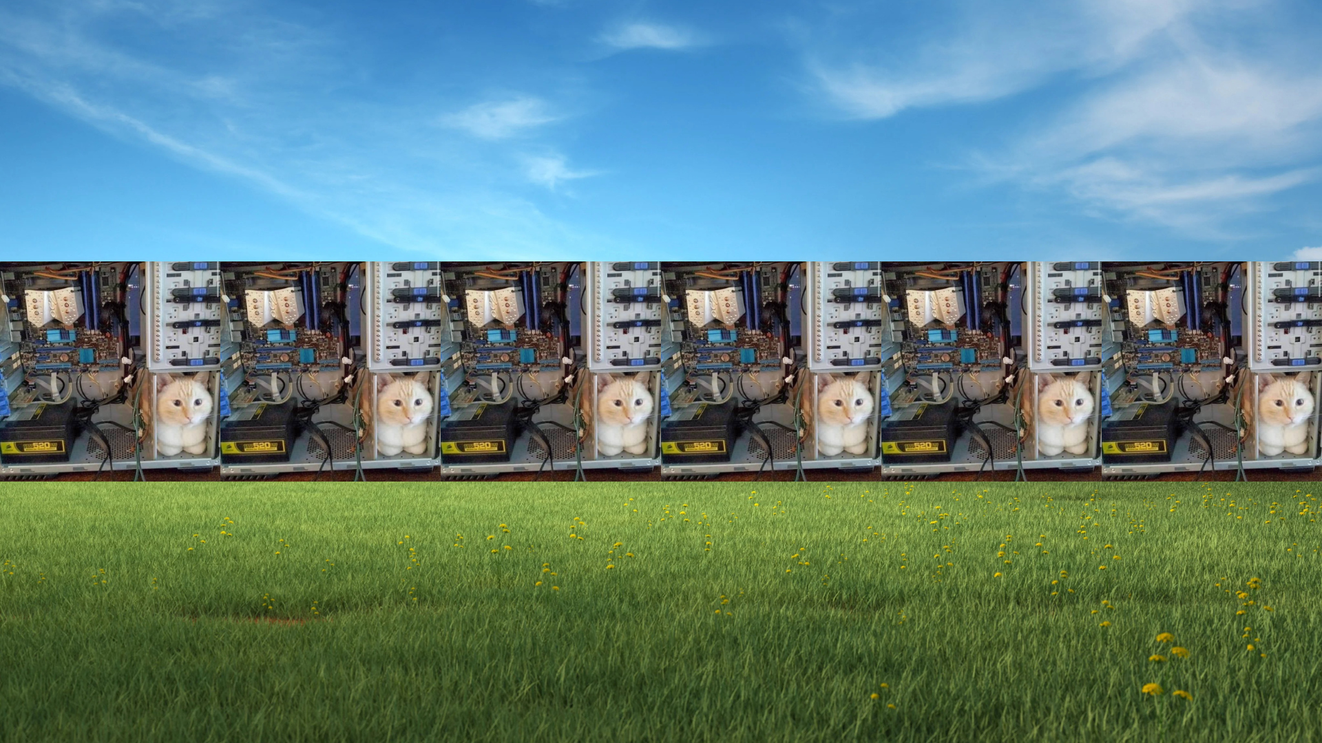 Windows XP Background